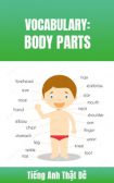 Các bộ phận cơ thể người trong tiếng Anh (Body)